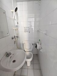 Emerald Park (D3), Condominium #518672441